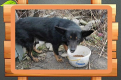 IMG_20230404_084015_526