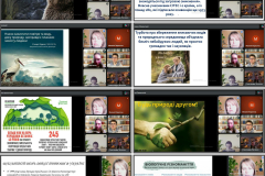 GridArt_20260303_153559337