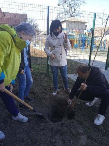 Україна - ініціатор озеленення планети - Слов'янська школа №23