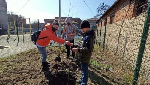 Україна - ініціатор озеленення планети - Слов'янська школа №23